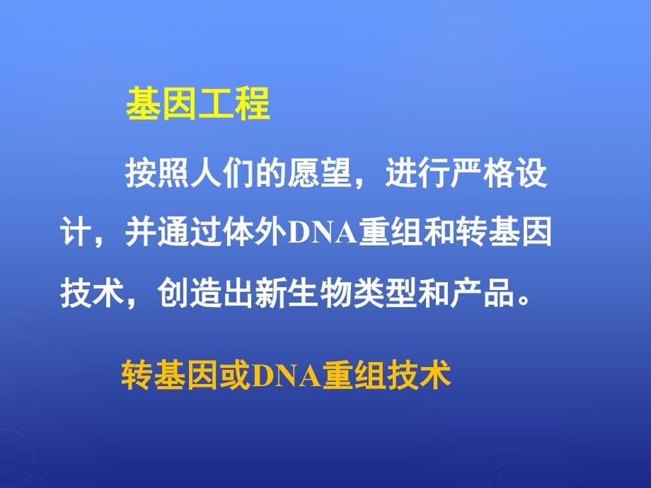 湖南省长沙市高中生物 专题一 课题1 dna重组技术的基本工具课件 新人教版选修3_第5页