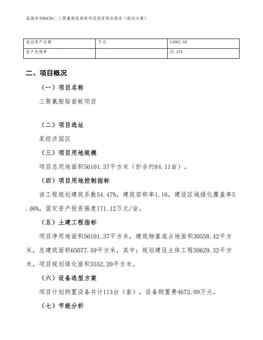 三聚氰胺贴面板项目投资规划报告（规划方案）_第5页