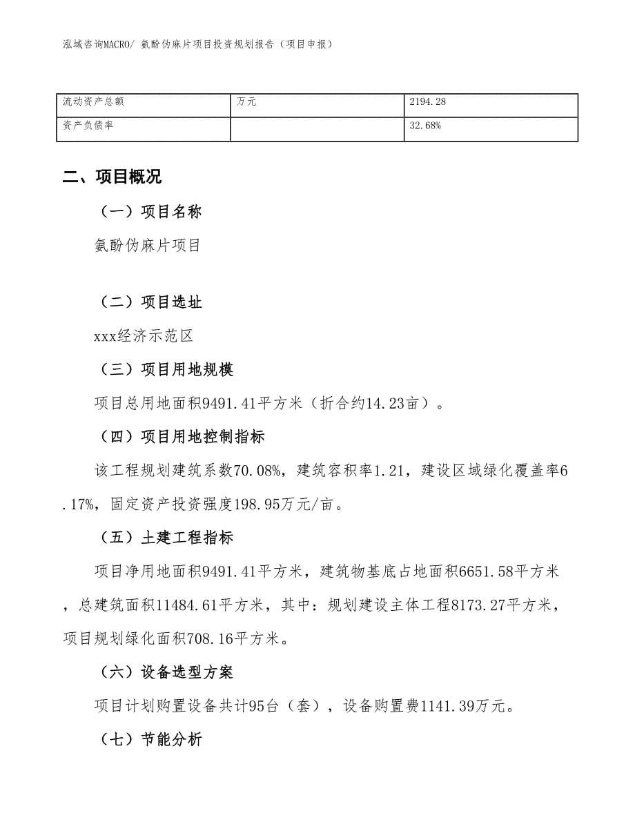 氨酚伪麻片项目投资规划报告（项目申报）_第5页