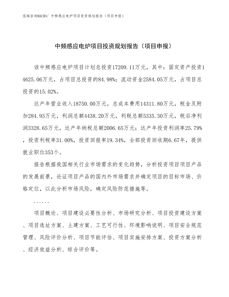 中频感应电炉项目投资规划报告（项目申报）_第1页