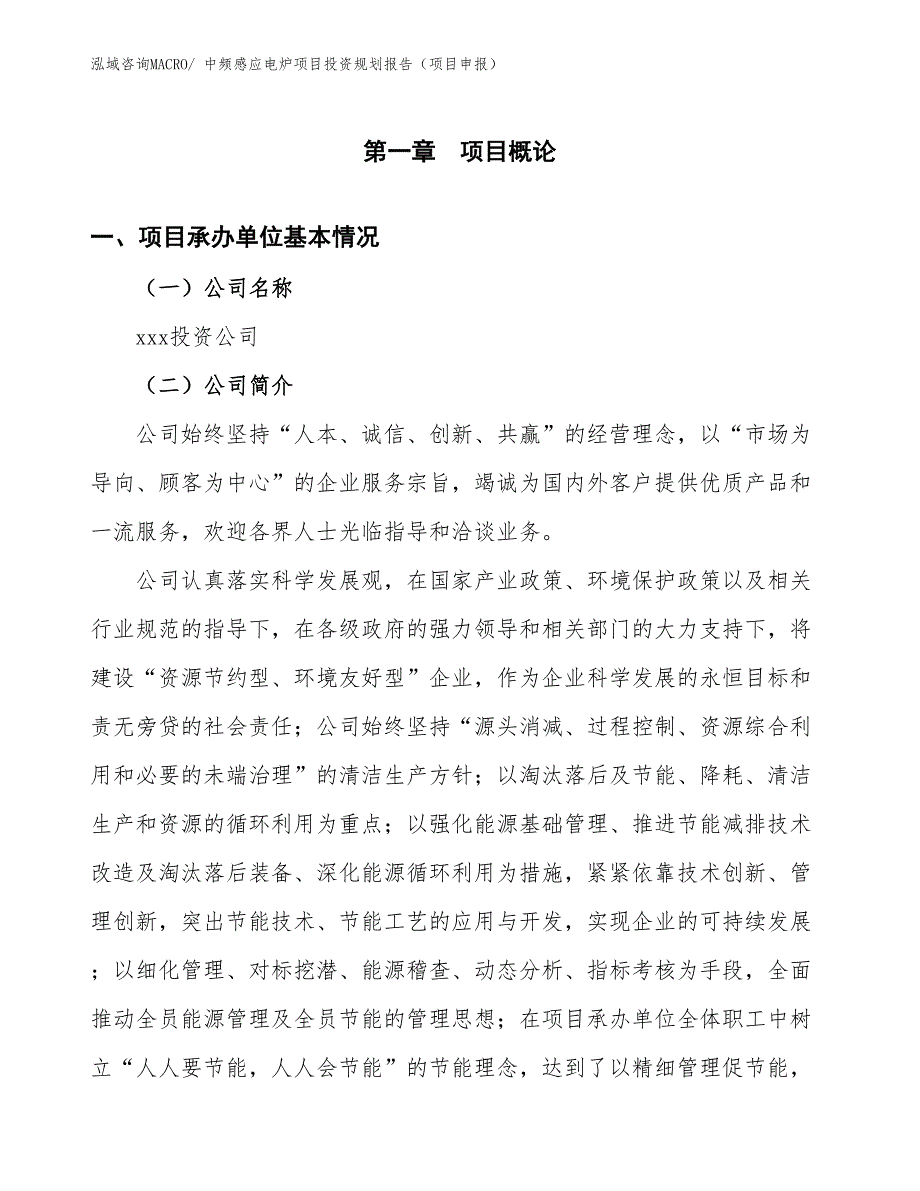 中频感应电炉项目投资规划报告（项目申报）_第2页