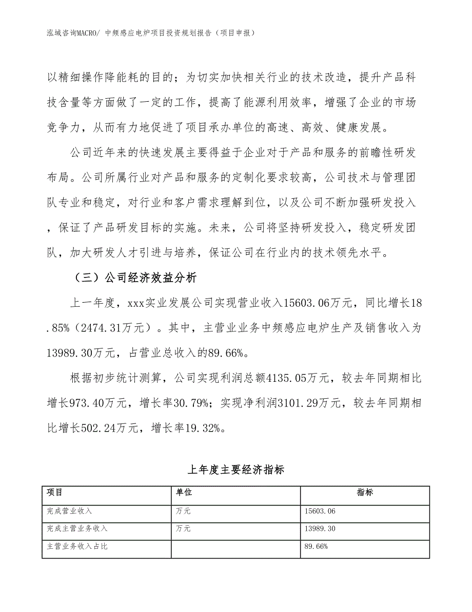 中频感应电炉项目投资规划报告（项目申报）_第3页