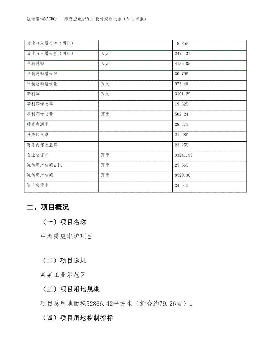 中频感应电炉项目投资规划报告（项目申报）_第4页