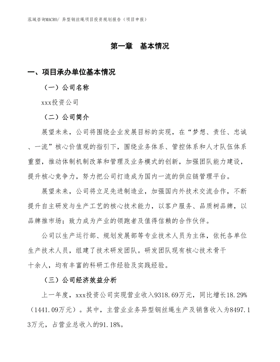 异型钢丝绳项目投资规划报告（项目申报）_第3页