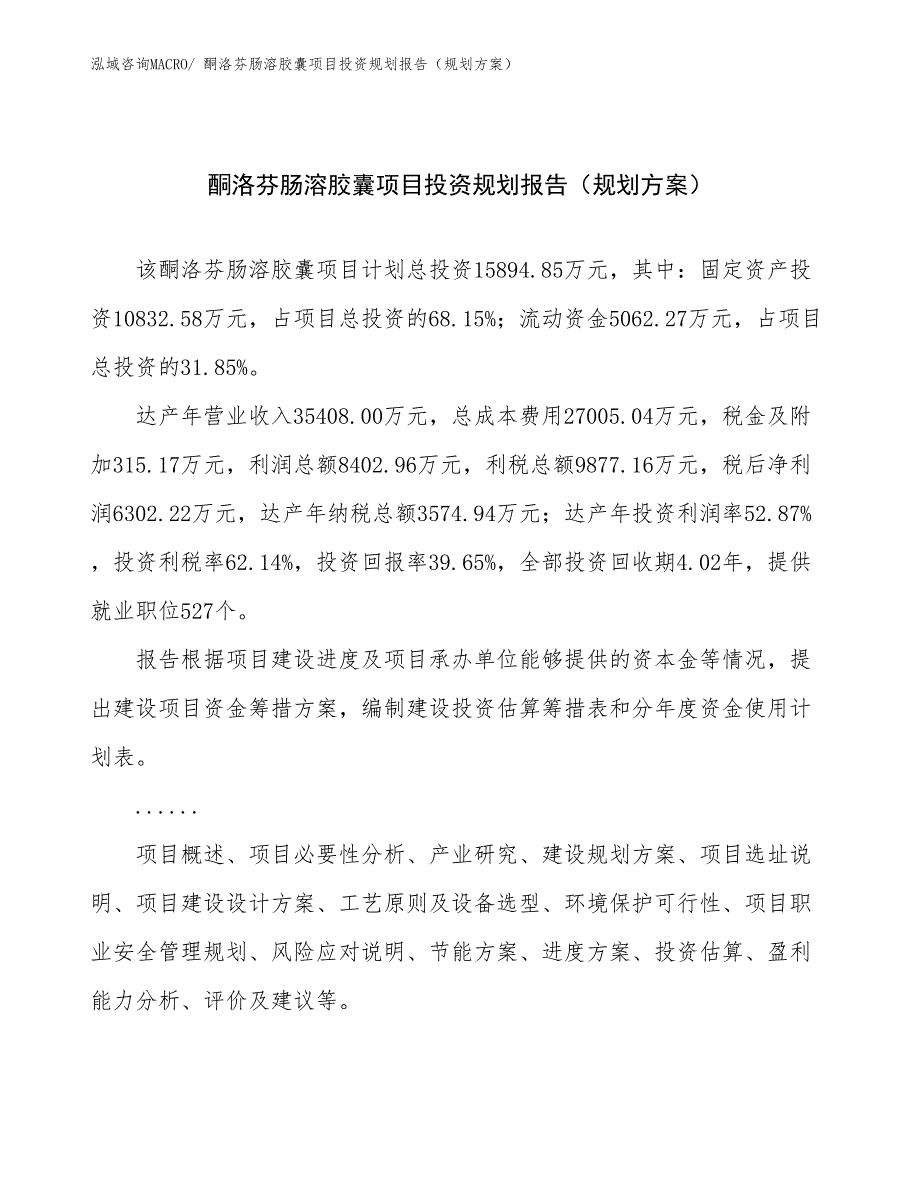 酮洛芬肠溶胶囊项目投资规划报告（规划方案）_第1页