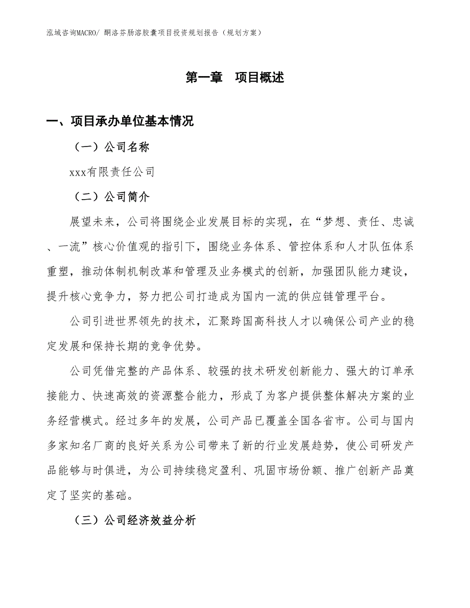 酮洛芬肠溶胶囊项目投资规划报告（规划方案）_第2页