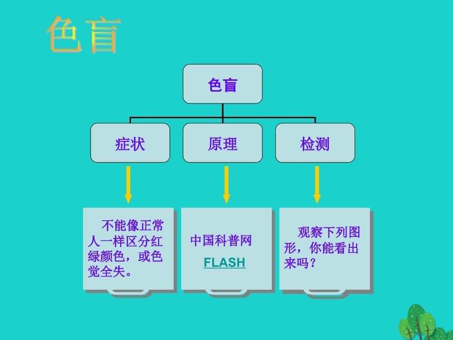 甘肃省瓜州县第二中学八年级生物下册 22.4 遗传病和优生优育课件 （新版）苏教版_第5页