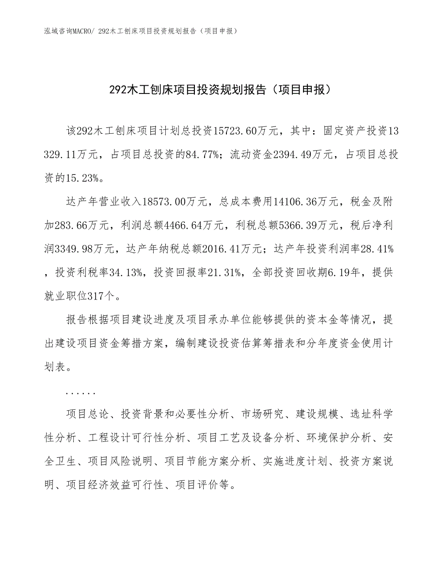 292木工刨床项目投资规划报告（项目申报）_第1页