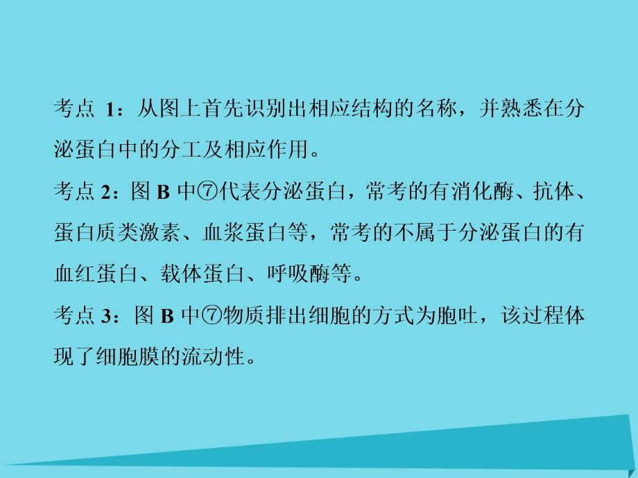 2018高考生物总复习 第2单元 细胞的结构和物质运输单元能力提升课件_第4页