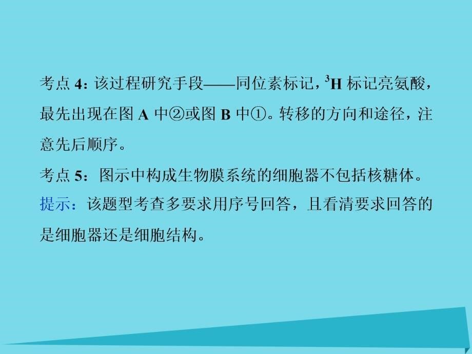 2018高考生物总复习 第2单元 细胞的结构和物质运输单元能力提升课件_第5页