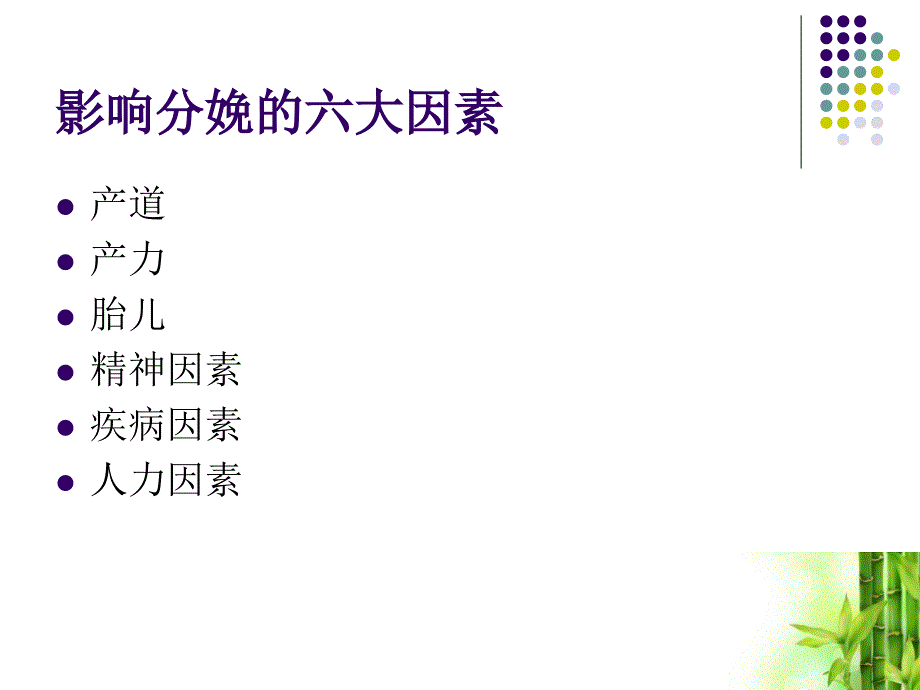 女性盆底结构与分娩_第4页