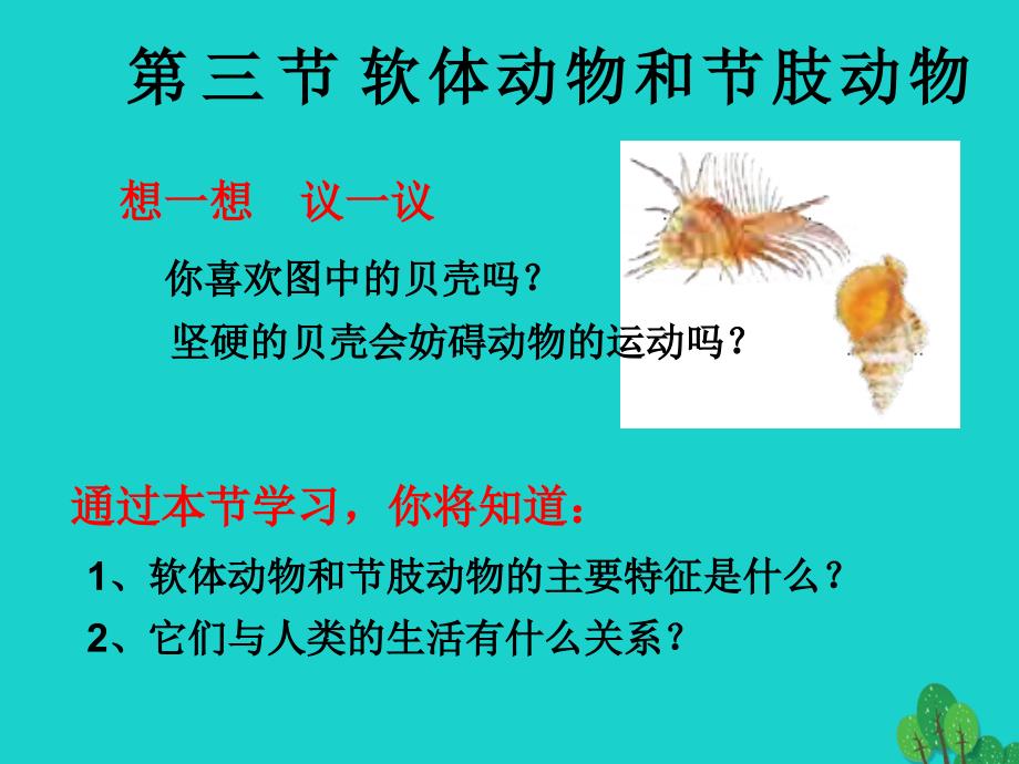 吉林省通榆县第八中学八年级生物上册 5.1.3 软体动物和节肢动物课件3 （新版）新人教版_第1页