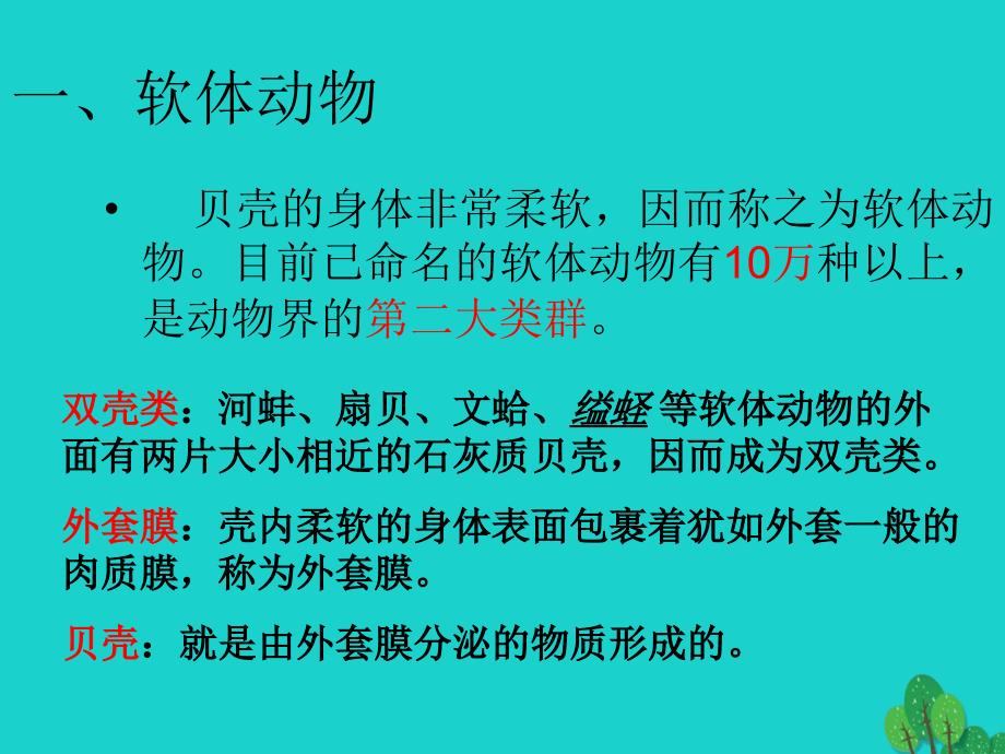 吉林省通榆县第八中学八年级生物上册 5.1.3 软体动物和节肢动物课件3 （新版）新人教版_第4页