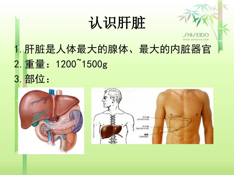 【关于胆】健康大讲堂：肝胆排毒_第3页