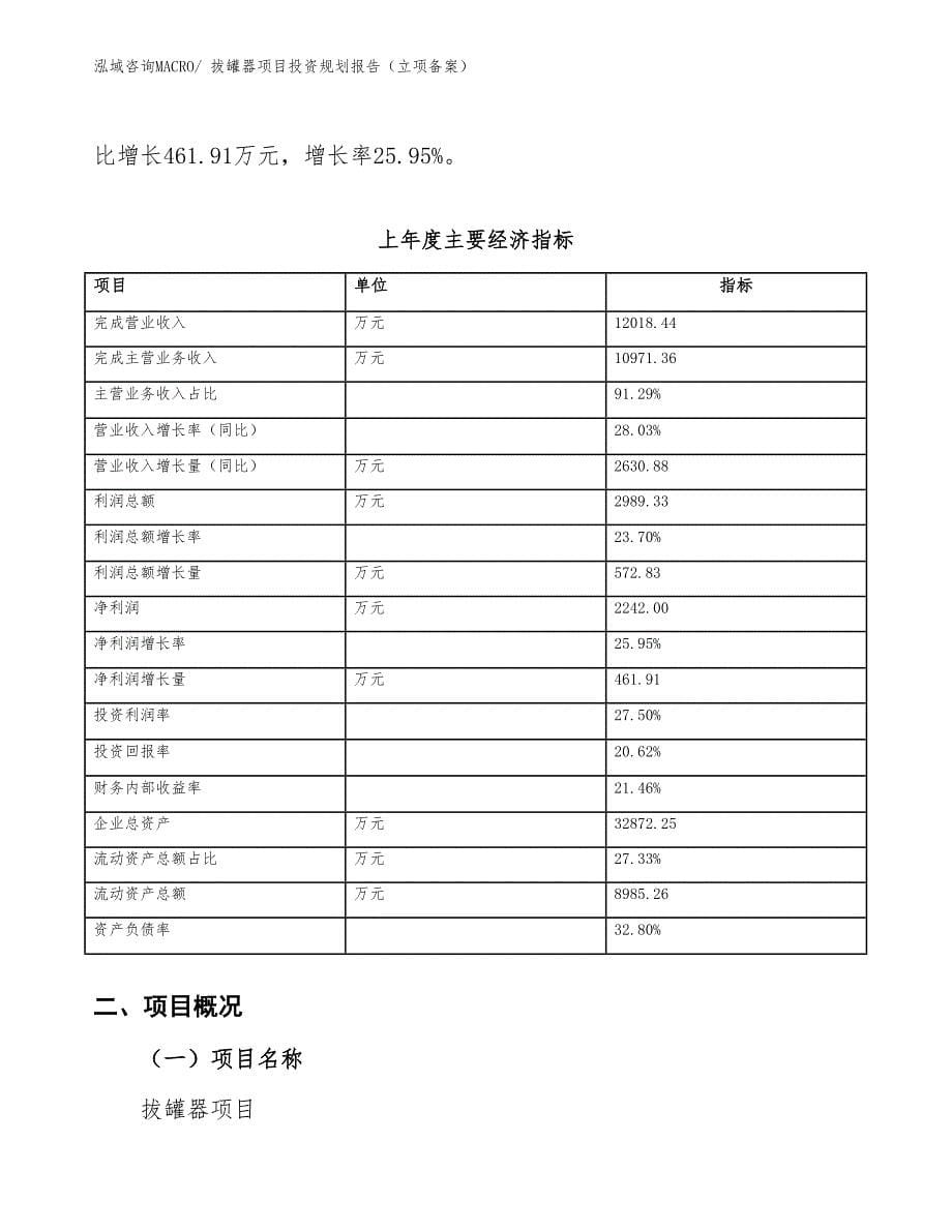 拔罐器项目投资规划报告（立项备案）_第5页