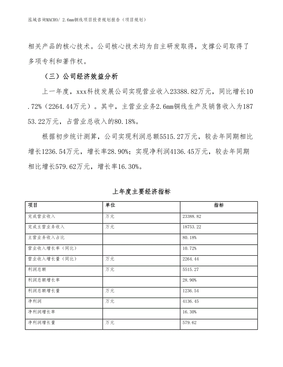 2.6mm铜线项目投资规划报告（项目规划）_第3页