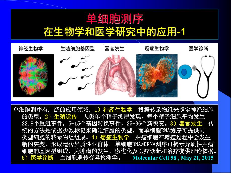 单细胞测序_第4页