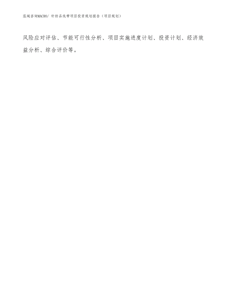 针纺品线带项目投资规划报告（项目规划）_第2页