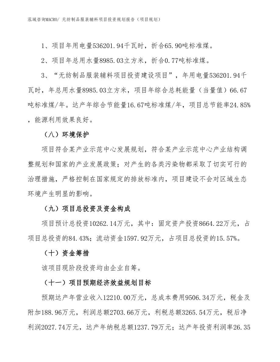 无纺制品服装辅料项目投资规划报告（项目规划）_第5页