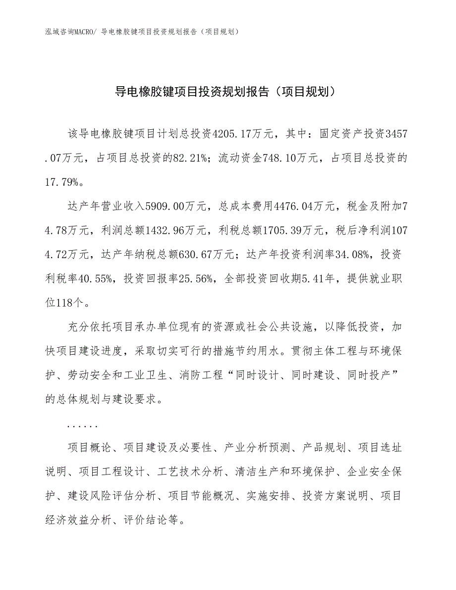 导电橡胶键项目投资规划报告（项目规划）_第1页