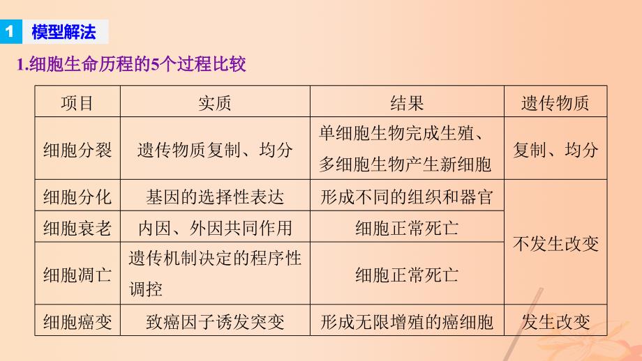 （通用版）2018高考生物大二轮专题复习与增分策略 热点题型建模 模型6 细胞生命历程几个过程比较课件_第2页