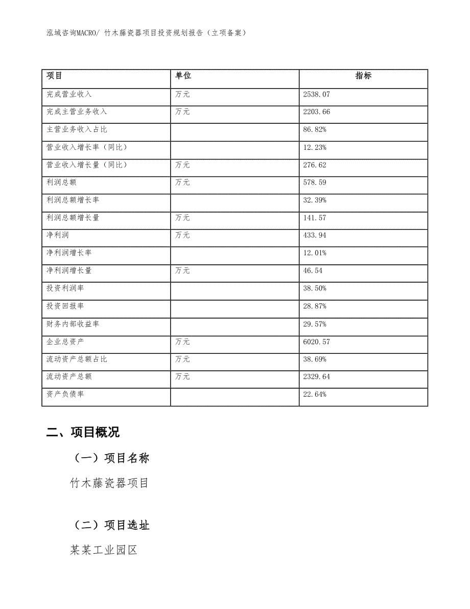 竹木藤瓷器项目投资规划报告（立项备案）_第5页