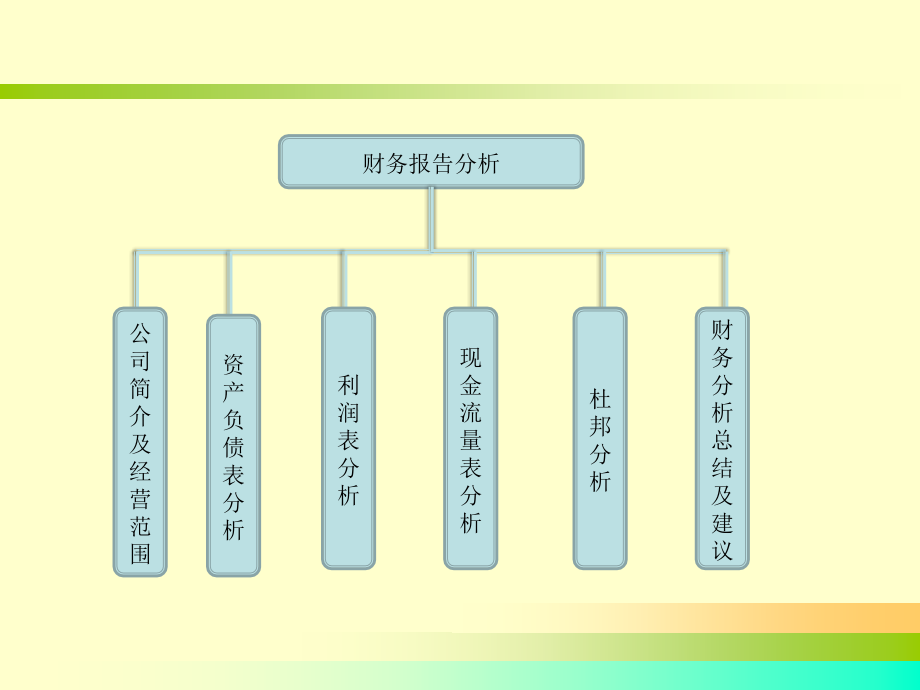 国风塑业财务报告分析.ppt_第2页