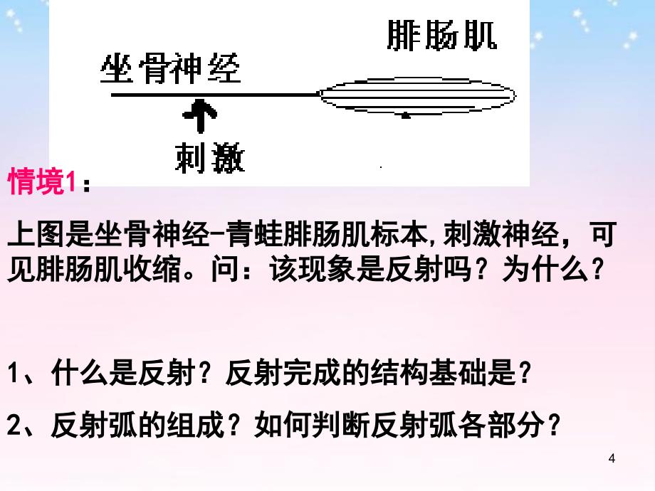 山东省牟平第一中学2018届高三政治一轮复习 2.1通过神经的调节复习课件_第4页