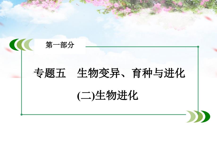 2018高考生物二轮复习 专题5 2生物进化课件_第3页