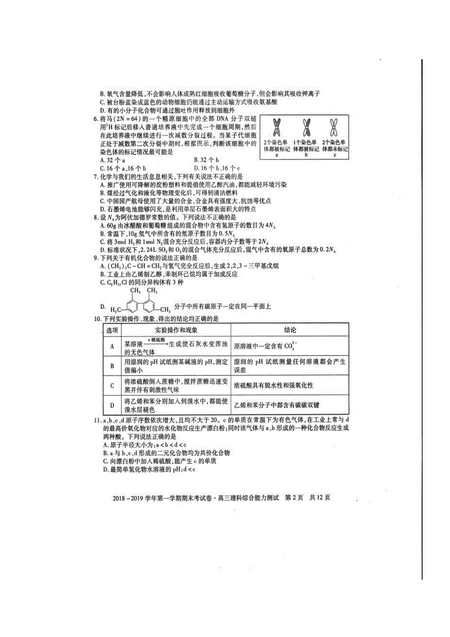 安徽省池州市2019届高三上学期期末考试理科综合试卷_第2页