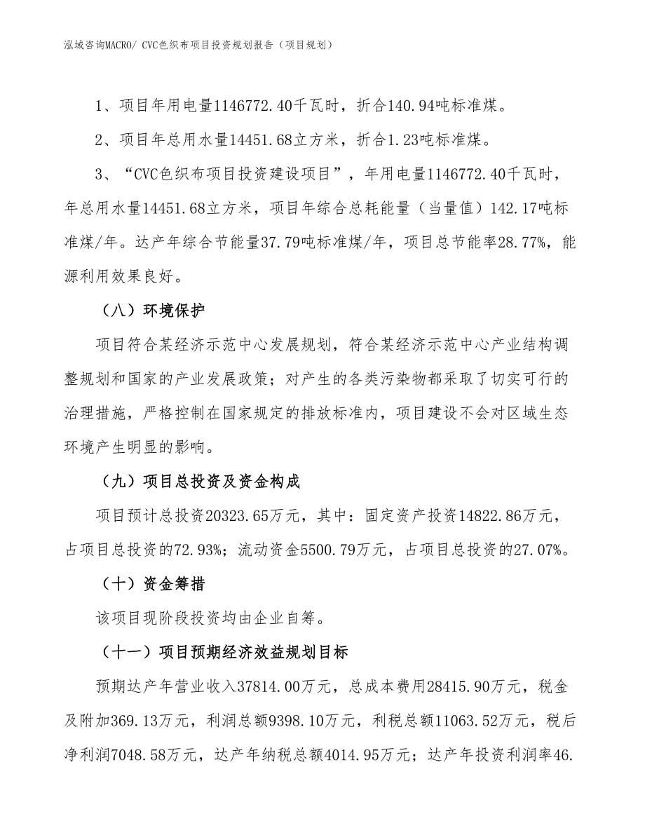 CVC色织布项目投资规划报告（项目规划）_第5页