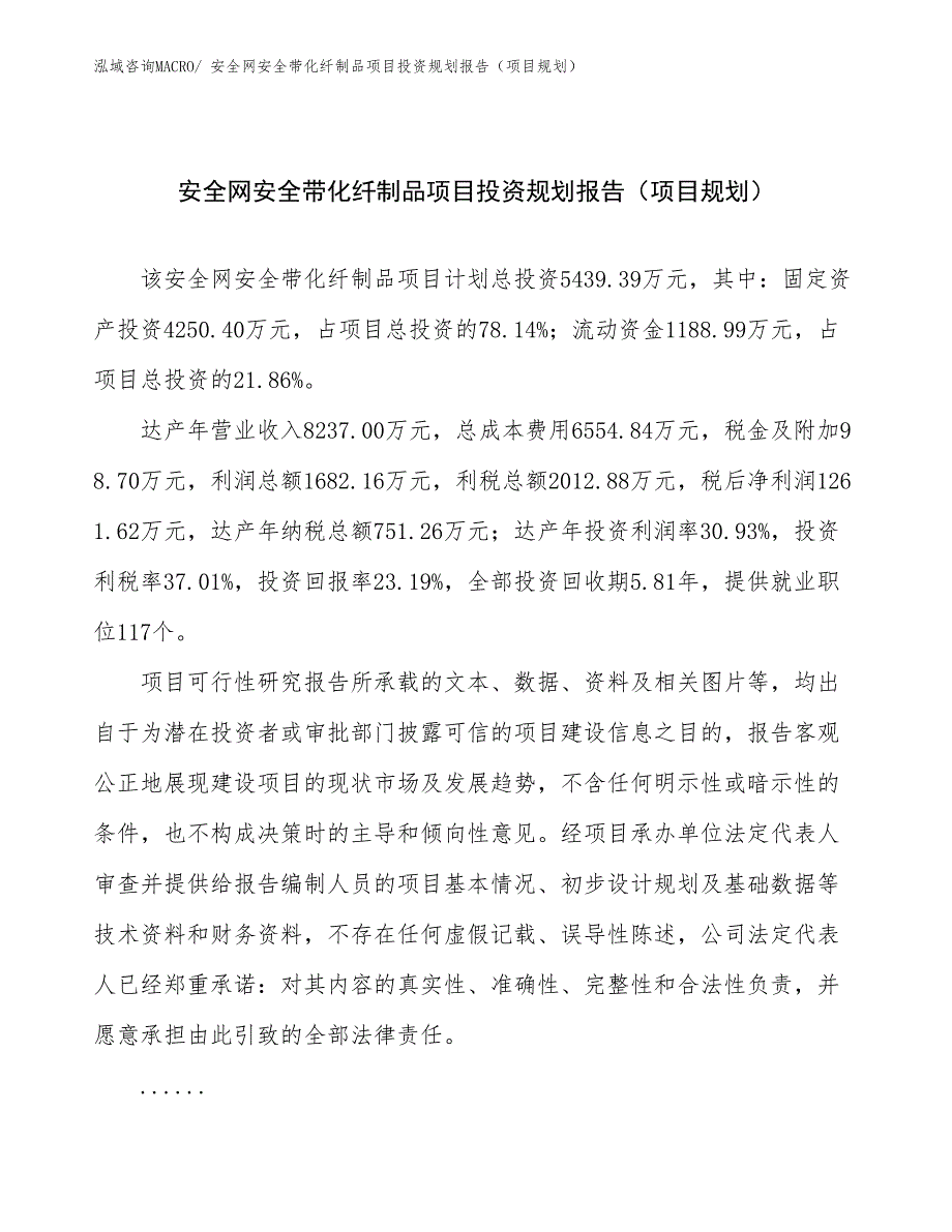 安全网安全带化纤制品项目投资规划报告（项目规划）_第1页