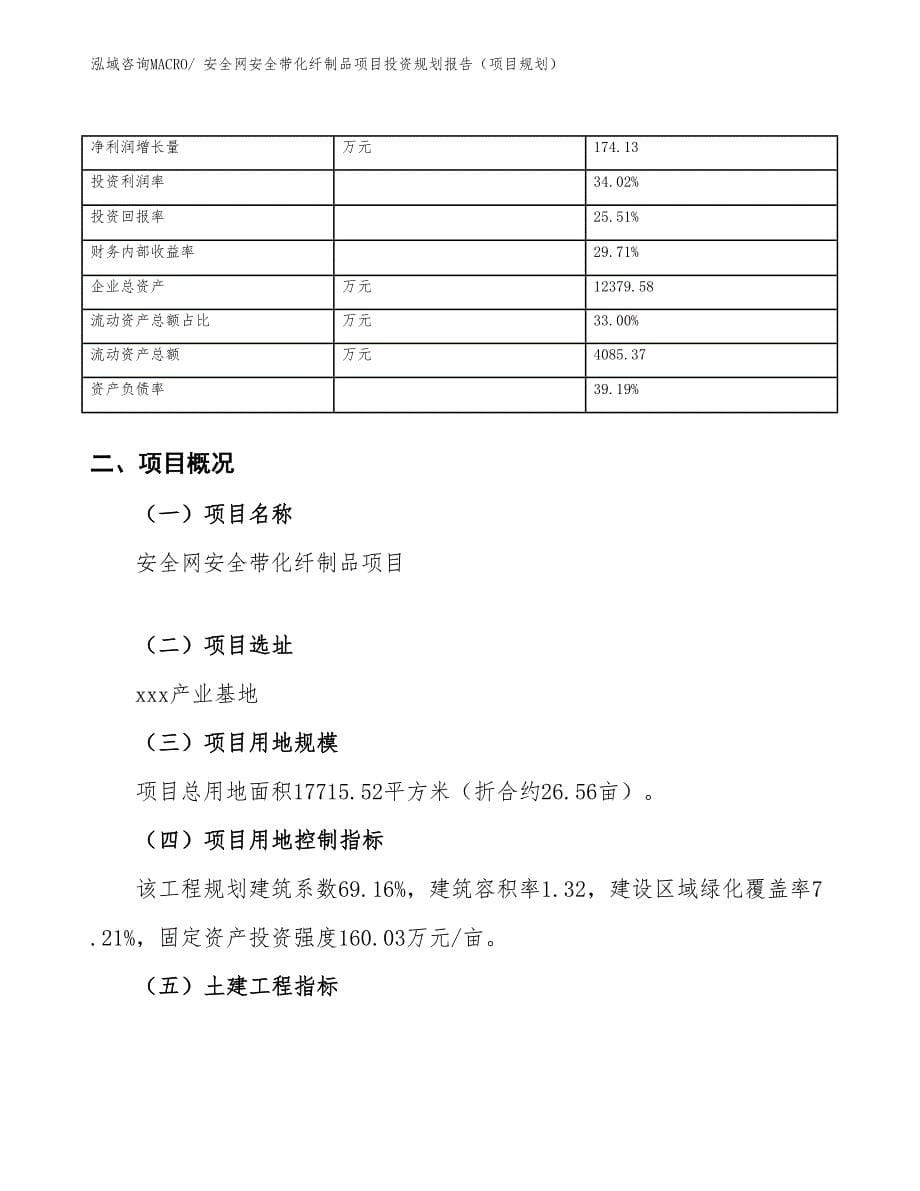 安全网安全带化纤制品项目投资规划报告（项目规划）_第5页