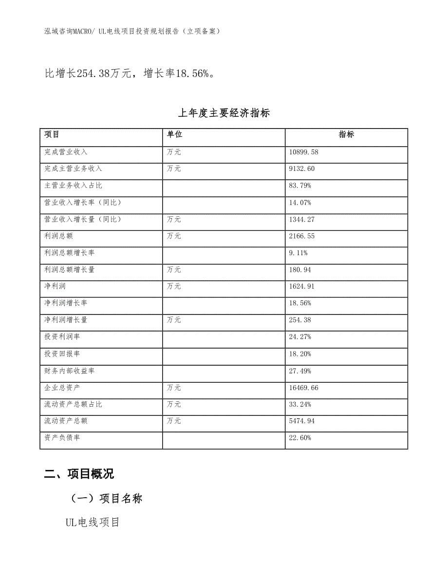 UL电线项目投资规划报告（立项备案）_第5页