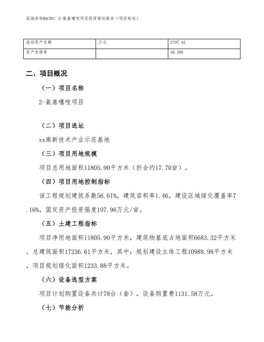 2-氨基噻唑项目投资规划报告（项目规划）_第5页