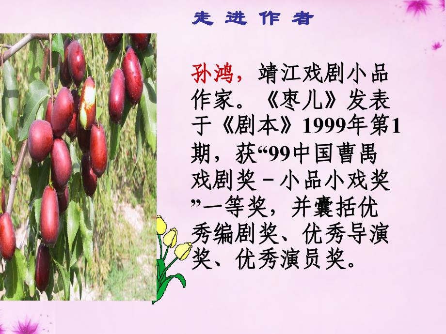 浙江省临安市龙岗镇大峡谷中心学校九年级语文下册 第15课《枣儿》课件 （新版）新人教版_第4页