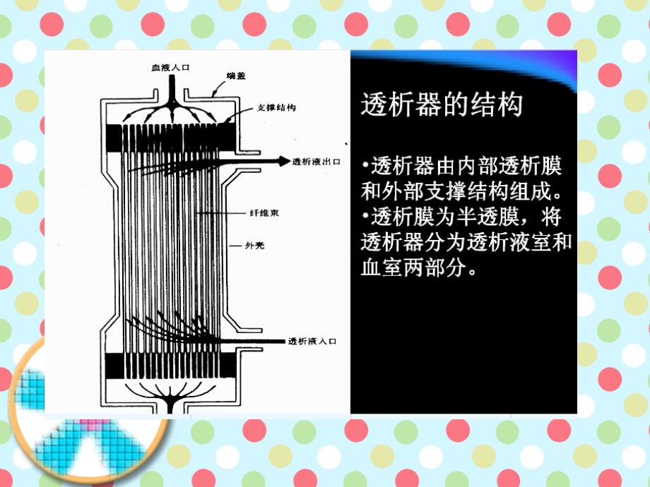 透析器破膜的预防与处理_第3页