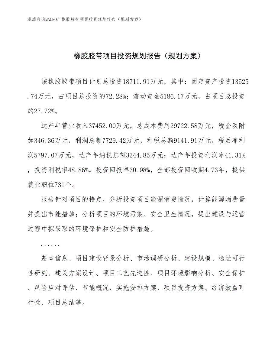 橡胶胶带项目投资规划报告（规划方案）_第1页