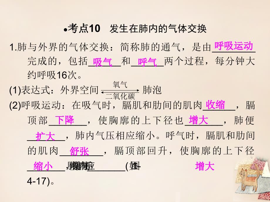 广东省中山市2018年中考生物 第一部分 教材考点同步解析 第四单元 生物圈中的人（第3课时）复习课件 新人教版_第3页