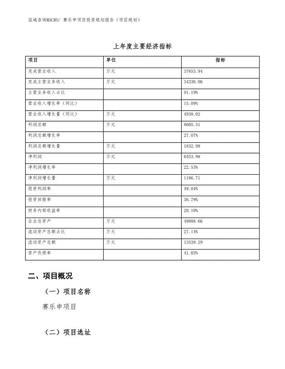 赛乐申项目投资规划报告（项目规划）_第5页