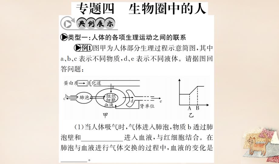 （广西玉林地区）2018年中考生物 专题综合突破 专题四 生物圈中的人课件_第1页