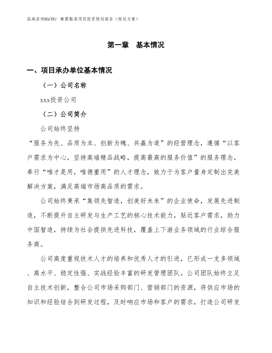 橡塑鞋底项目投资规划报告（规划方案）_第2页