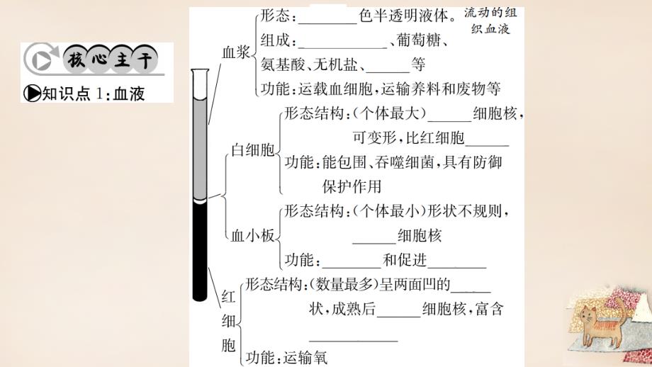 （广西玉林地区）2018年中考生物 知识系统复习 第四单元 第四章 人体内物质的运输课件_第2页