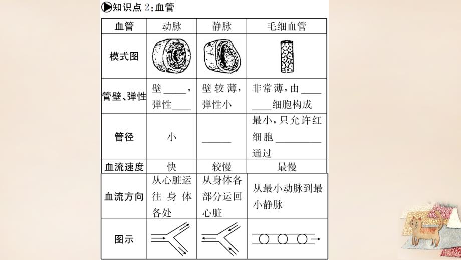 （广西玉林地区）2018年中考生物 知识系统复习 第四单元 第四章 人体内物质的运输课件_第4页