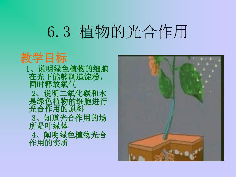 6.3 植物光合作用的实质 课件5.ppt_第1页