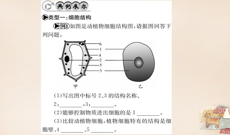 （广西玉林地区）2018年中考生物 专题综合突破 专题一 生物体的结构层次课件_第2页