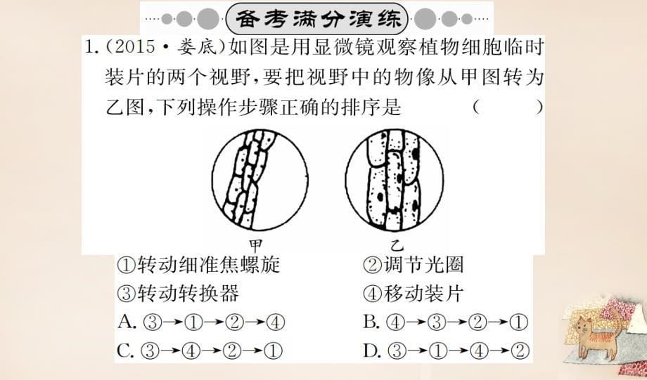 （广西玉林地区）2018年中考生物 专题综合突破 专题一 生物体的结构层次课件_第5页