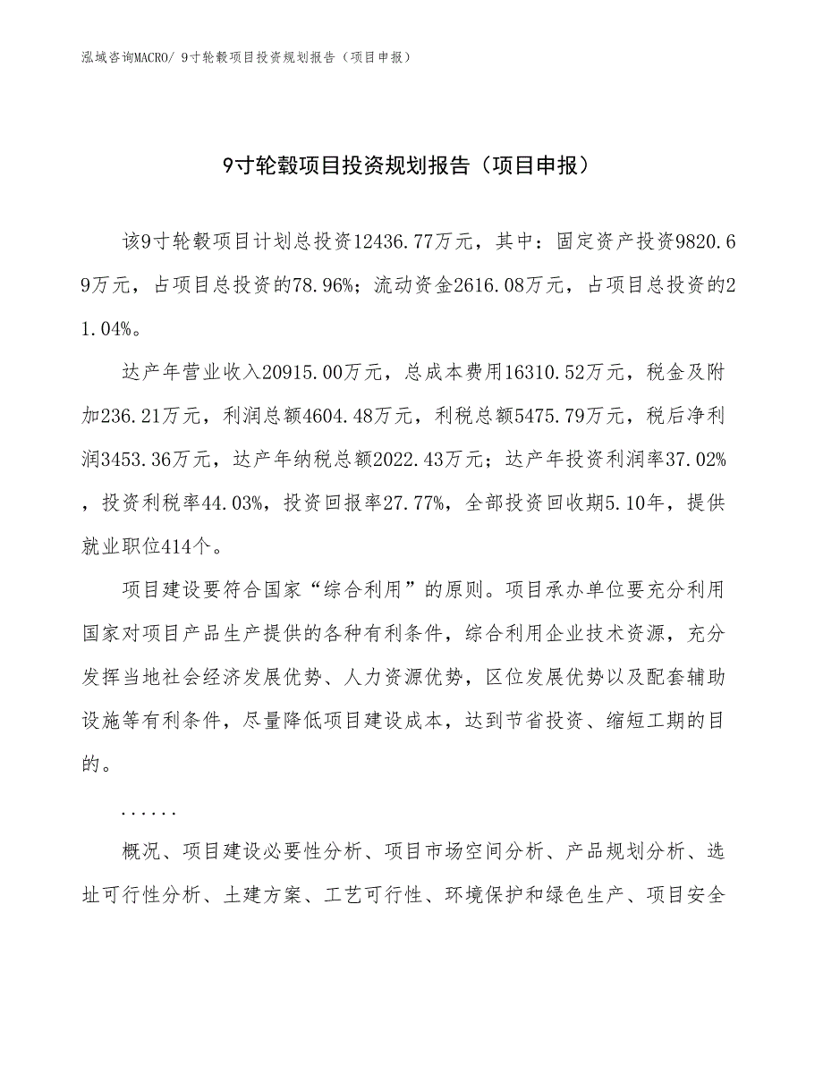 9寸轮毂项目投资规划报告（项目申报）_第1页