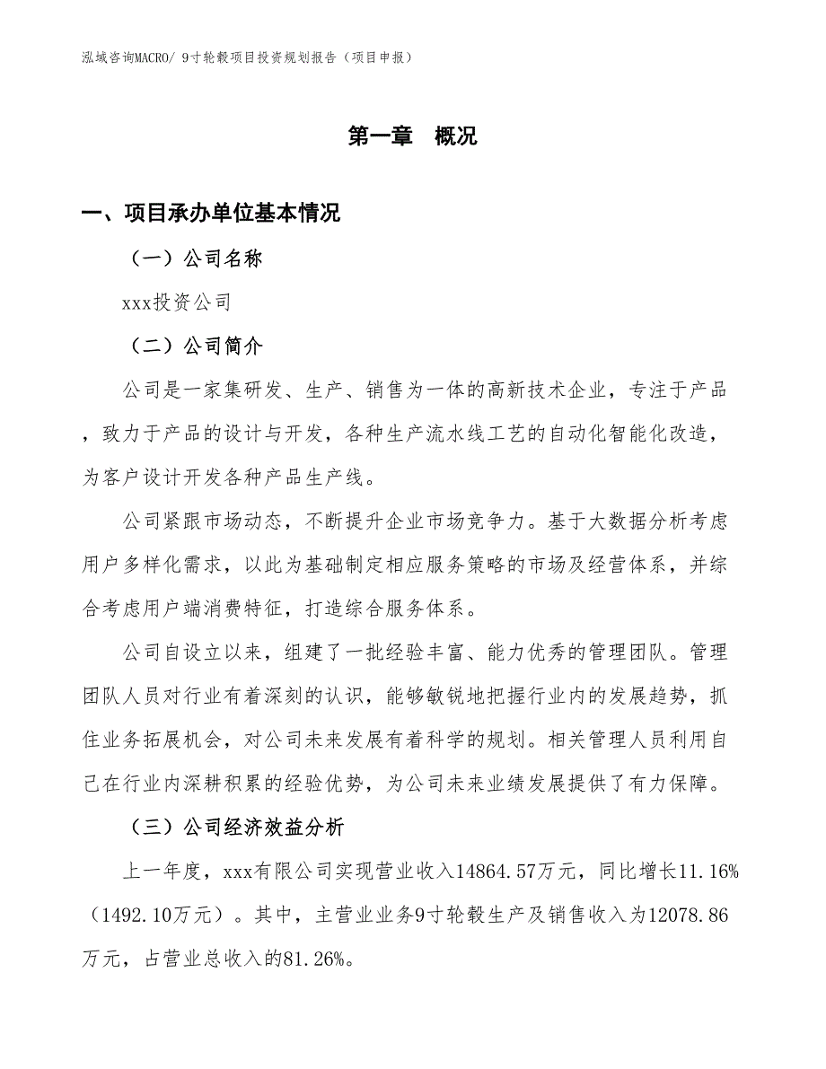 9寸轮毂项目投资规划报告（项目申报）_第3页