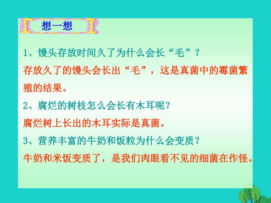 吉林省通榆县第八中学八年级生物上册 5.4.1 细菌和真菌的分布课件3 （新版）新人教版_第2页